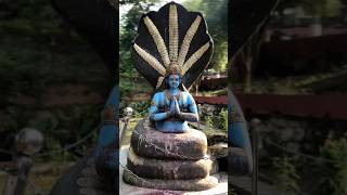 Om namah Narayana 🙏 jainarayan jaivishnubhagwan hare harehare yt ytshorts ytshortsvideo [upl. by Euqitsym]