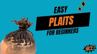 Easy Plaits For Beginners  The Basics [upl. by Orville906]