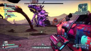 Terramorphous The Invincible LVL 52  Borderlands 2 [upl. by Ellehsram801]