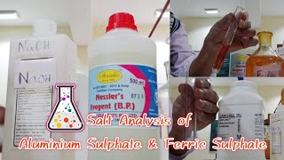 Salt Analysis of Aluminium Sulphate and Ferric Sulphate saltanalysis class12chemistry [upl. by Eipper]