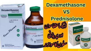 Dexamethasone Vs Prednisolone in Veterinary  Difference between Dexamethasone and Prednisolone [upl. by Dremann96]