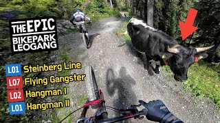 BIKEPARK LEOGANG 2023 alle leichten MTB Strecken  Steinberg Line Hangman 1 amp 2 Flying Gangster [upl. by Anilem611]