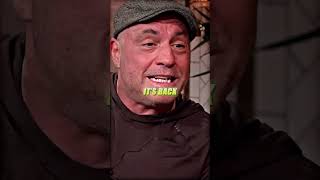 Joe Rogan Is Afraid Of Grizzly Bears [upl. by Okika]