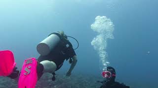 Diving the reefs of Moorea [upl. by Jollenta317]