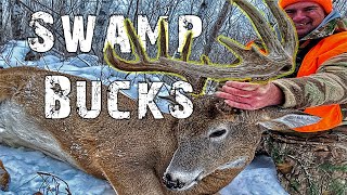 Manitoba Swamp Bucks [upl. by Aneeuq]