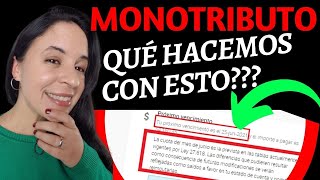 MONOTRIBUTO 🚩 Otro PROYECTO de LEY y todos a REIMPUTAR SALDOS A FAVOR 😱 [upl. by Jemma633]