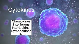 Cytokines [upl. by Euqenimod686]