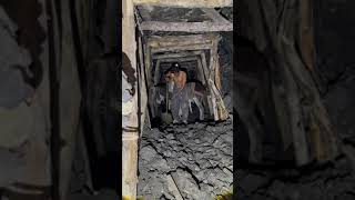 MINING OF DIAMOND💎 HOW IS MINED [upl. by Orlando]