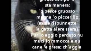 TotòquotBIANCHINAquot  Le videopoesie di Gianni Caputo [upl. by Aphra708]