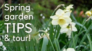 The best thing to do for your garden nowspring garden tips and tour [upl. by Tenn]