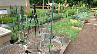 10 Trellising Options for Containers amp Earth Beds Tomatoes Cucumbers Squash Melons amp More [upl. by Publus]