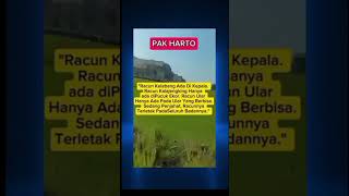 PESAN PAK HARTO [upl. by Mak]