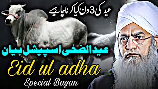 Eid ul Adha Special Bayan by Peer Zulfiqar Ahmed Naqshbandi [upl. by Castora]