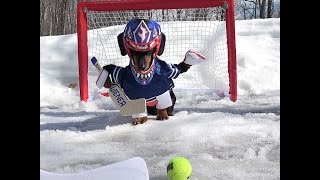 Crusoe Goalie Practice [upl. by Cece]