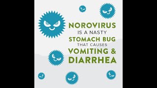 Norovirus is a nasty stomach bug [upl. by Ppilihp]