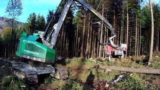 NEUSON 243HVT  forest harvester 🌳🌲 [upl. by Anilec]