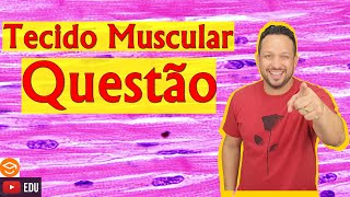 Questão  Tecido Muscular  Histologia Animal [upl. by Florette469]