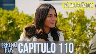 Pájaro soñador  Capitulo 110 Audio Español  Erkenci Kuş [upl. by Ssilem671]