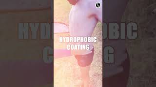 Do You Know About Hydrophobic [upl. by Arrak915]