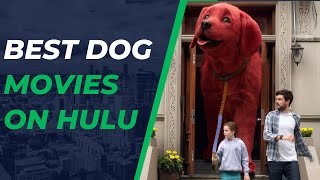 Best Dog Movies on Hulu  Best Puppy Movies on Hulu [upl. by Herrod959]