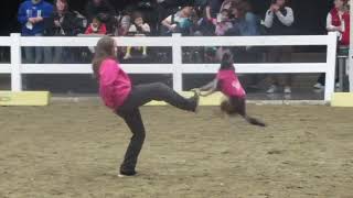 Royal Winter Fair 2024 Superdog Show Dancing Demonstration [upl. by Whitford]