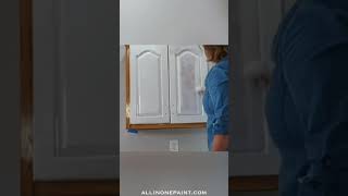 Painting Kitchen Cabinets without Sanding or Priming [upl. by Kendre]