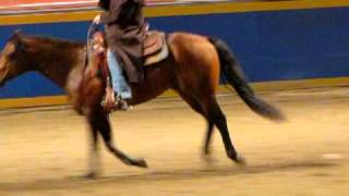 Stacy Westfall Reining  Royal Winter Fair 2010 Part2 [upl. by Brodie197]