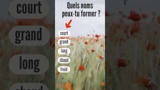 5 NOMS formés avec des ADJECTIFS Vocabulaire en français facile [upl. by Kindig261]