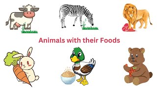 Different Animal Types  Covering Herbivores Carnivores Omnivores Diurnal Nocturnal [upl. by Sivrahc263]