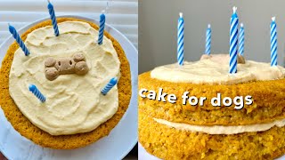 Dog Birthday Cake Recipe  Pumpkin Dog Cake and Frosting  How To Make Cake for Dogs  Paola Santana [upl. by Jehovah168]