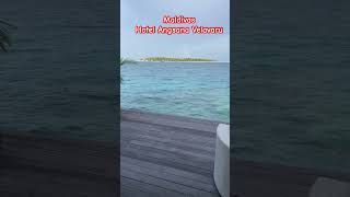 Maldives  Angsana Velavaru Hotel maldivas maldives holidays paradise [upl. by Nivek]