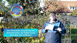 📹 Das Wettervideo Der November versucht es mit Sonnenschein der Nebel muss sich aber erst auflösen [upl. by Ecire]