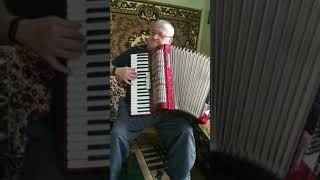 Weltmeister Diana accordion 120 Bass 41 keys 3 voice 53 registers Concertina Germany ON SALE [upl. by Vlada]