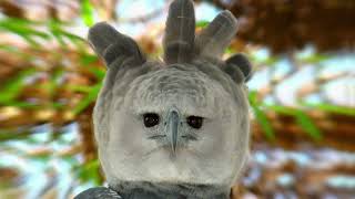 5 Eagles That Could Defeat A Harpy Eagle [upl. by Brabazon]