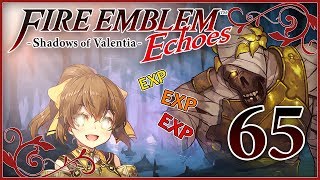 Fire Emblem Echoes 65  Der versteckte Schrein [upl. by Giamo267]