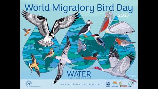 World Migratory Bird Day 2023  Water Sustaining Bird Life  CMS amp AEWA Statements [upl. by Siobhan510]