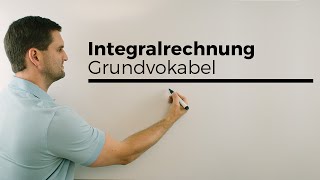 Integralrechnung Grundvokabel Hauptsatz Flächenberechnung  Mathe by Daniel Jung [upl. by Yentroc254]