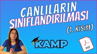 CANLILARIN SINIFLANDIRILMASI 1 KISIM FULL TEKRAR TYT 2025 [upl. by Lhary]