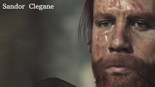 Sandor The Hound Clegane  Dragons Dogma 2 Character Creator [upl. by Karilynn]