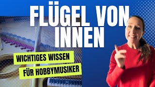 FlügelKlavier von innen Wichtiges Wissen für Hobbymusiker [upl. by Sacul]