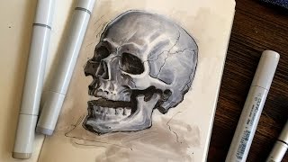 Skull Sketch with Copic Markers [upl. by Inalak]