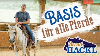 Die Basis für alle Pferde  Bernd Hackl erklärt 🐴 [upl. by Theodosia]