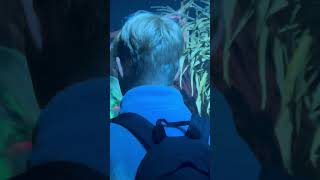 THE CROWS Scare Zone  Thorpe Park Fright Nights [upl. by Muslim]