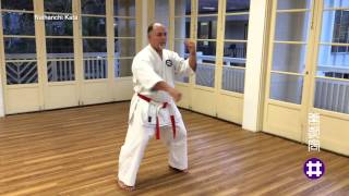 Naihanchi Kata by Lemus Sensei [upl. by Spiro]