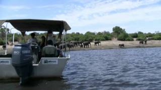 Elephant Valley Lodge  Chobe  Botswanampeg [upl. by Flaherty]