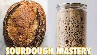 How To Achieve Sourdough Starter Mastery [upl. by Aneez]