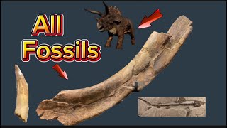 All fossils dinosaurs [upl. by Elyrehc]