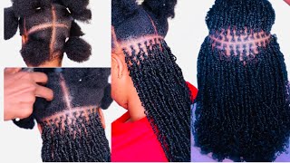 How to micro twist with curly hair minitwist microtwists twist twostrandtwist [upl. by Elton974]