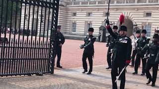 Changing of the Guard at Buckingham Palace [upl. by Hanavas]