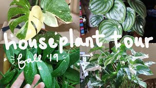 HOUSEPLANT TOUR FALL 2019  My Entire Houseplant Collection [upl. by Myrwyn390]